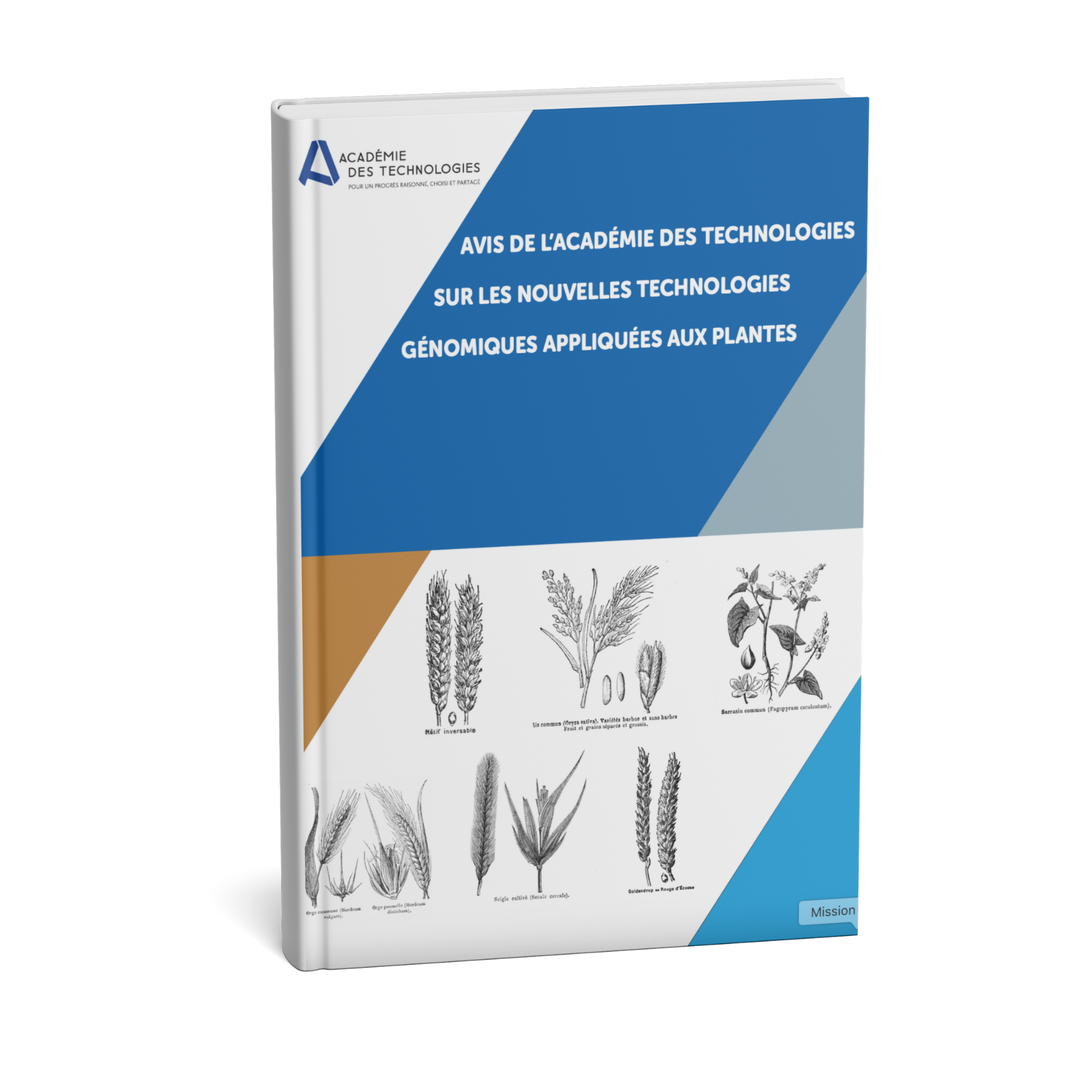 Rapport Nouvelles technologies génomiques appliquées aux plantes