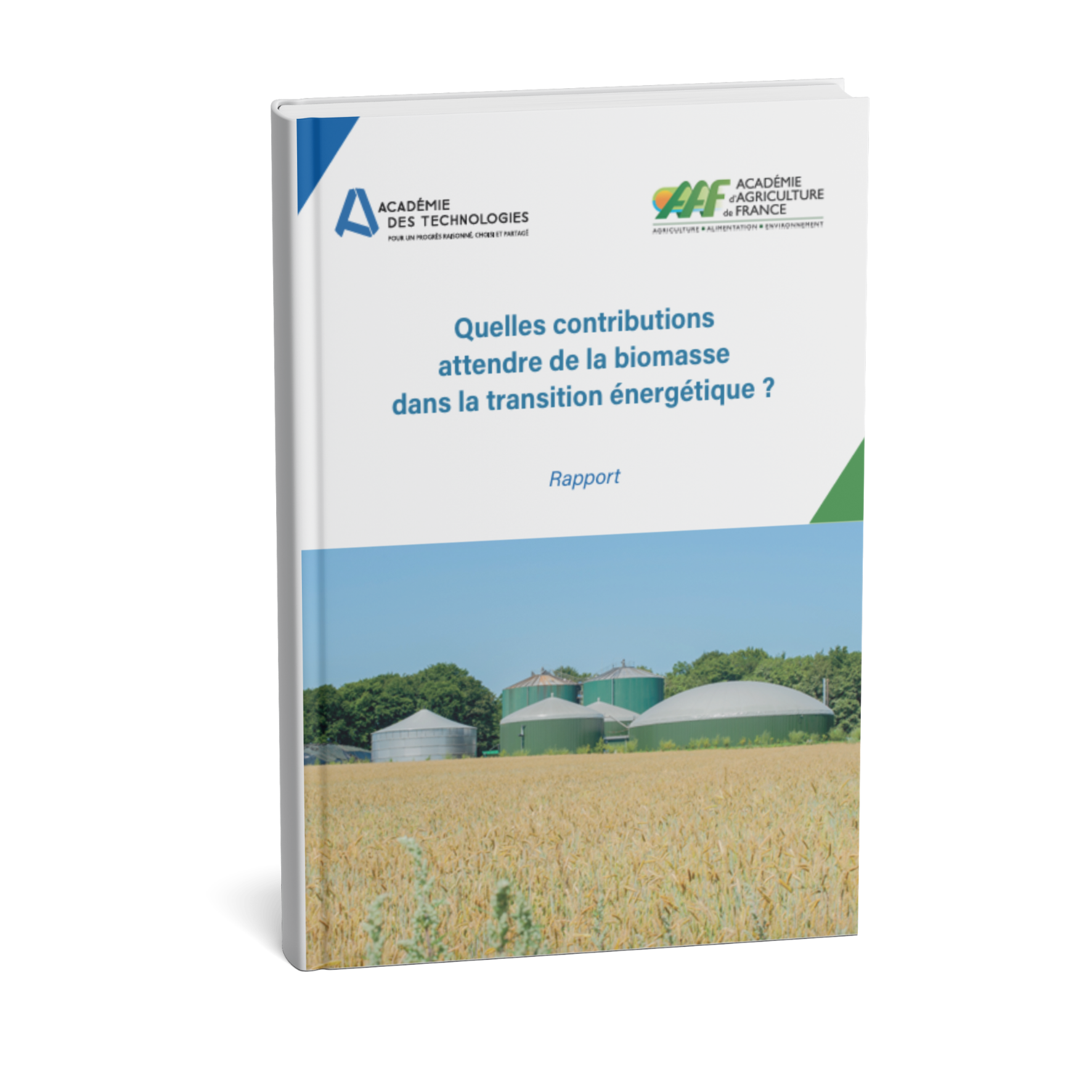 Couverture du rapport Quelles contributions attendre de la biomasse dans la transition énergétique ?